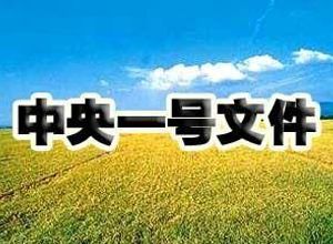 今年“一号文件”含金量高 “三重”涉及多个产业机会